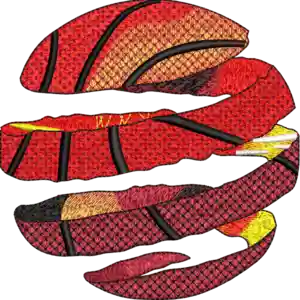 gradient and blending digitizing services