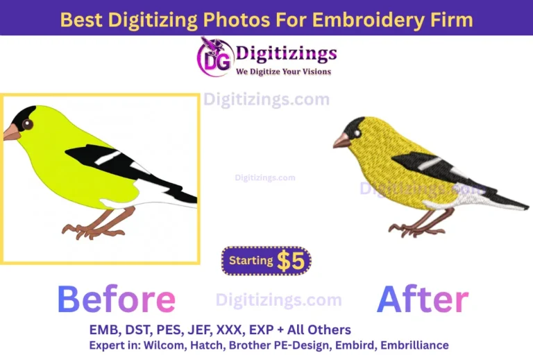 best digitizing photos for embroidery firm