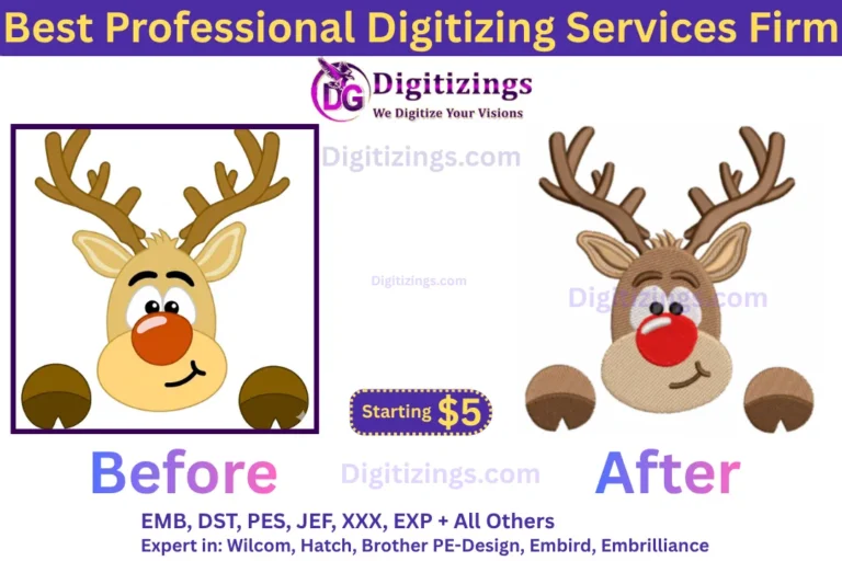 best professional digitizing services firm