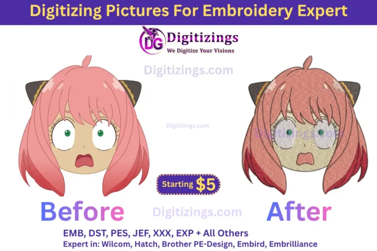 digitizing pictures for embroidery expert
