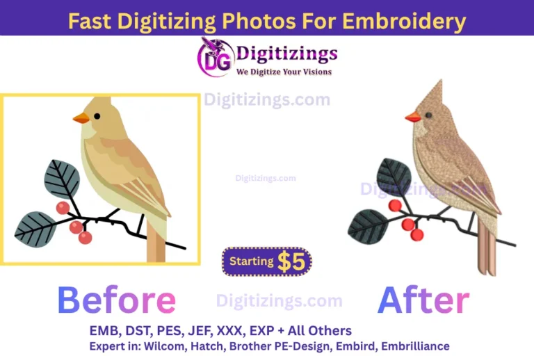 fast digitizing photos for embroidery