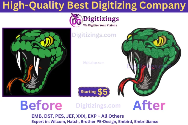 high-quality best digitizing company