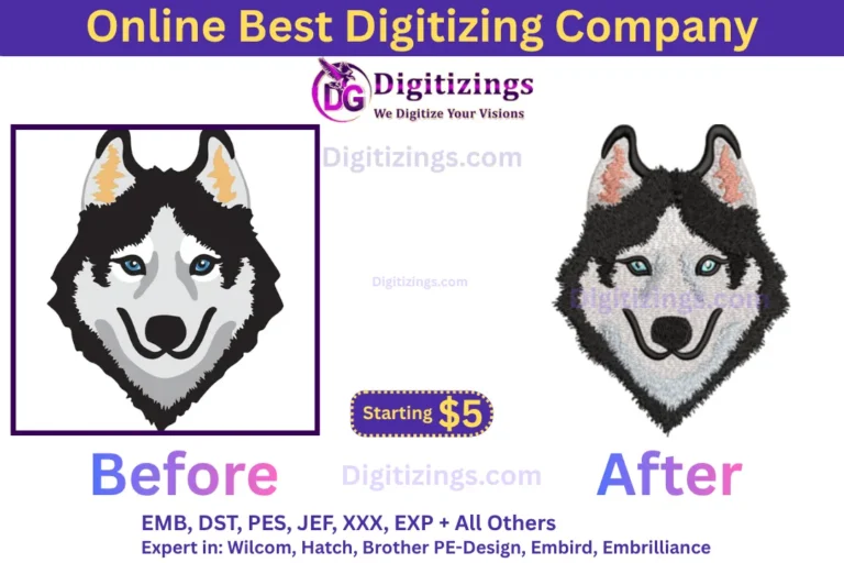 online best digitizing company