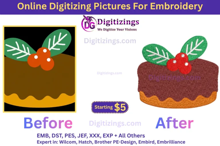 online digitizing pictures for embroidery
