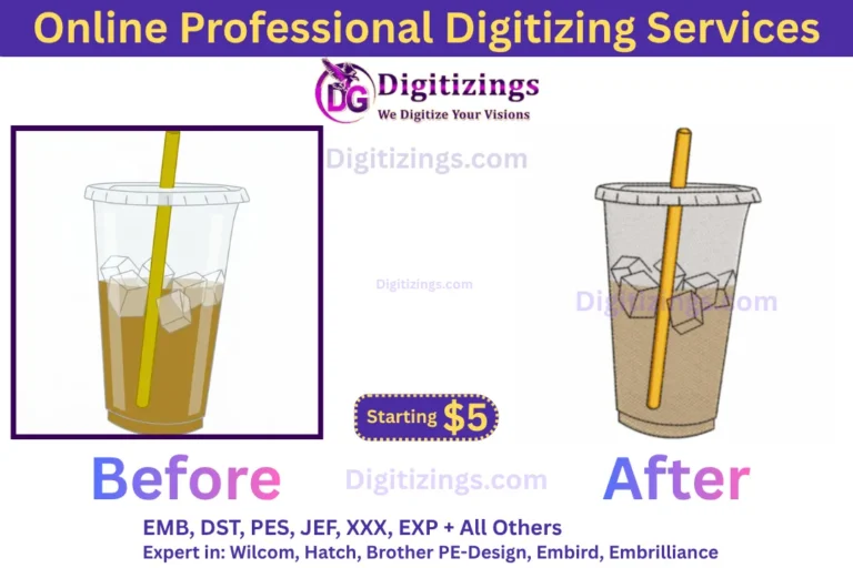 online professional digitizing services