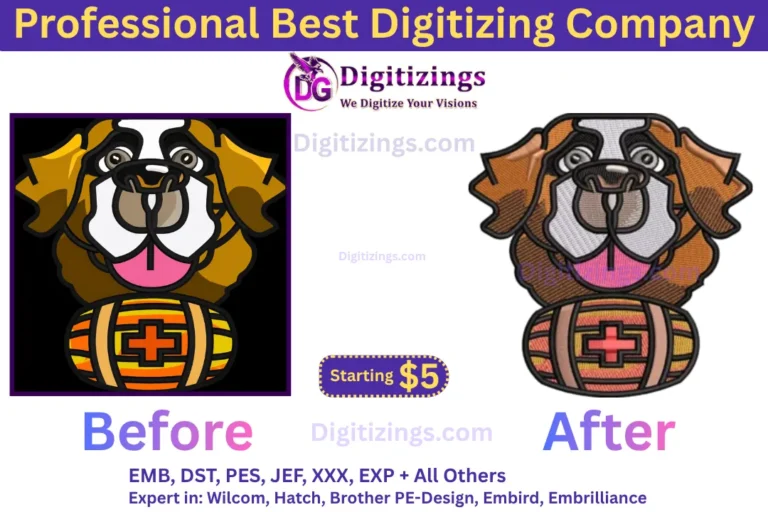 professional best digitizing company