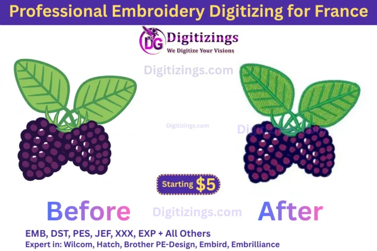 professional embroidery digitizing for france